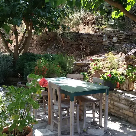 Artemisia Villa Guzelcamli