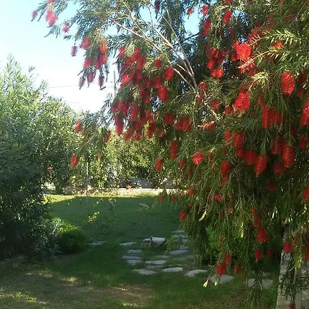 Villa Artemisia Guzelcamli